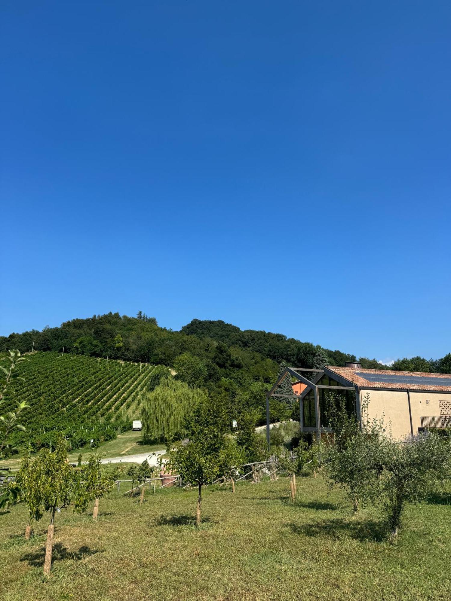Corte D'Aibo Monteveglio Екстериор снимка