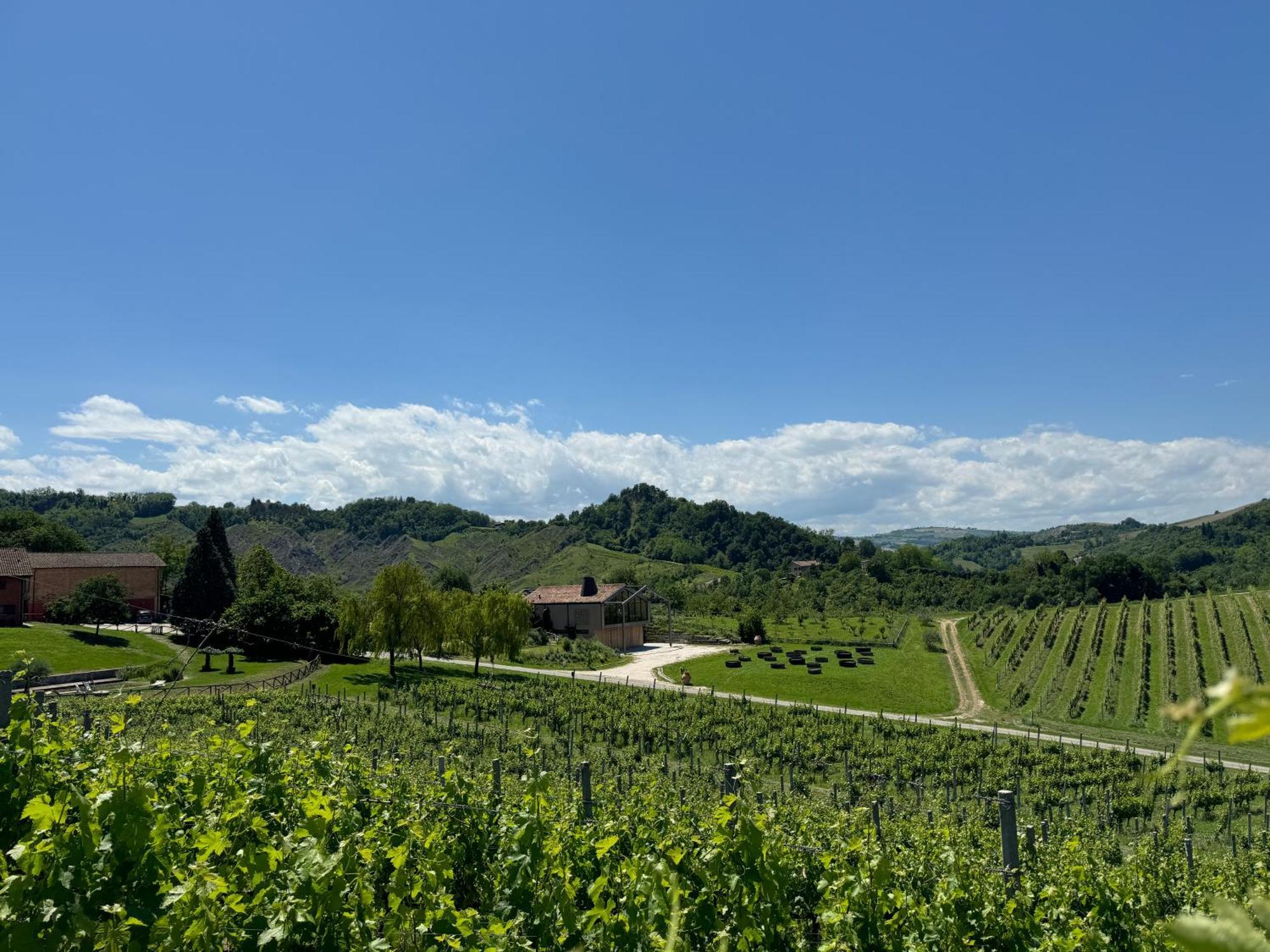 Corte D'Aibo Monteveglio Екстериор снимка