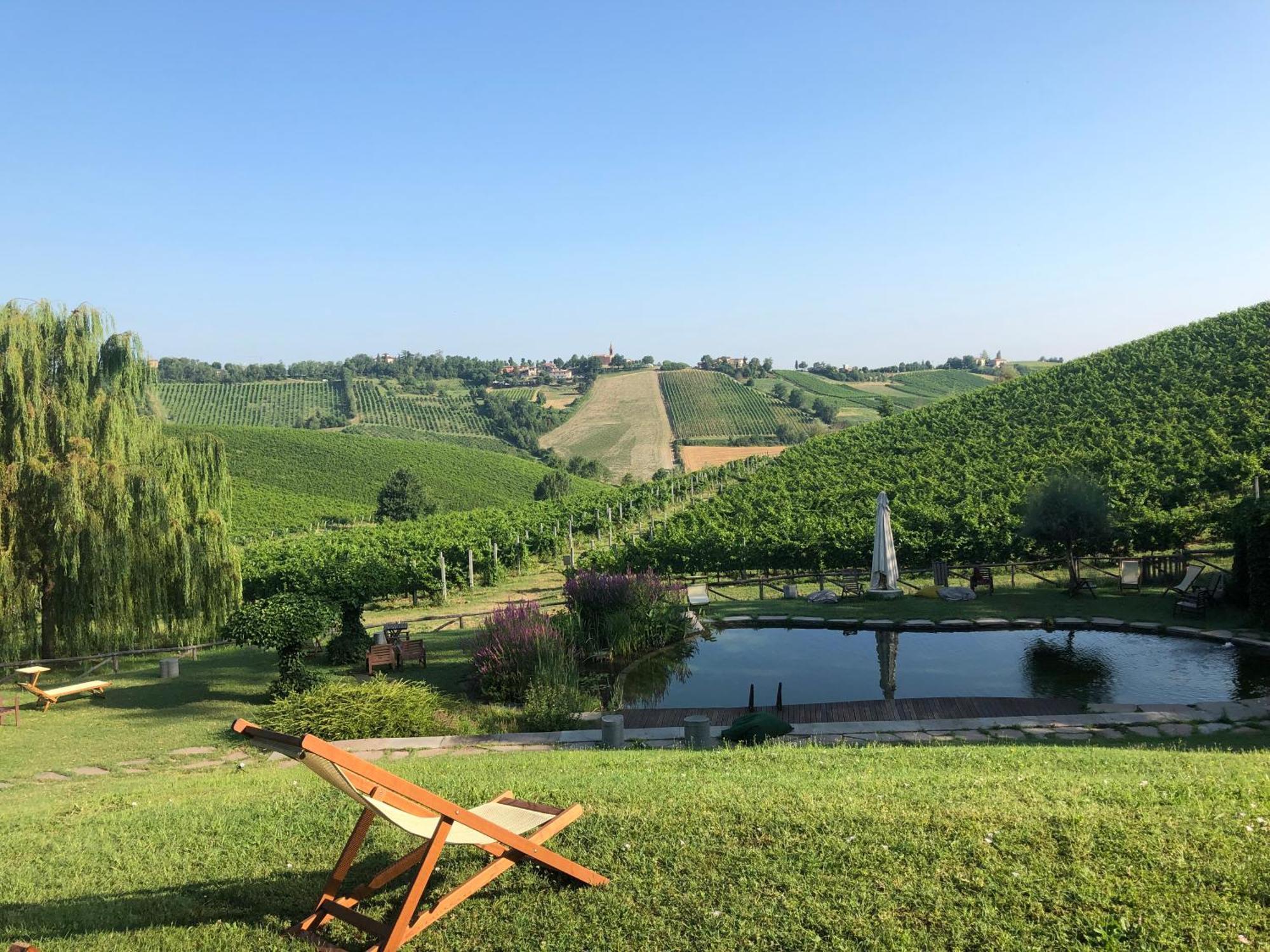 Corte D'Aibo Monteveglio Екстериор снимка